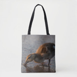 Bolsa Tote Sesty Baby
