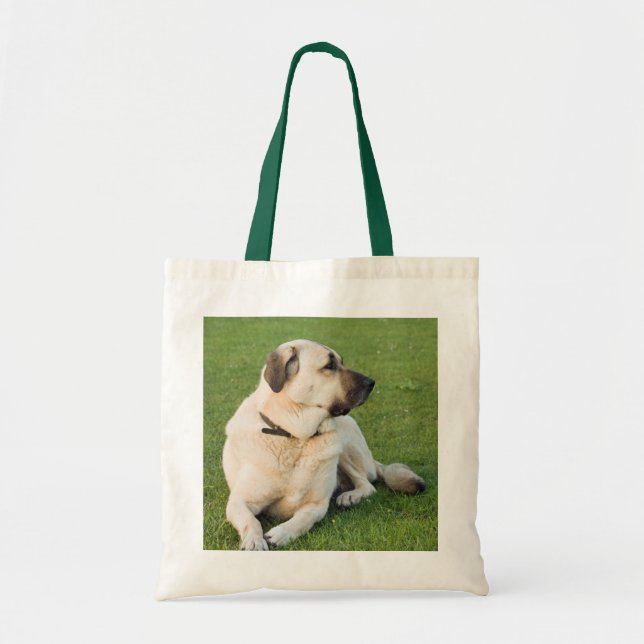 Bolsa Tote Shepherd Anatólia Relaxando em Grass (Frente)
