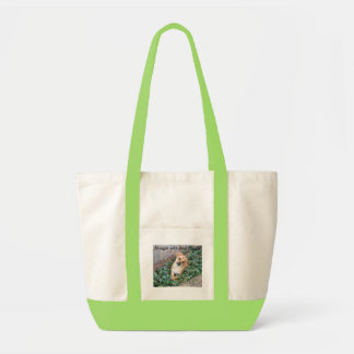 Bolsa Tote Snuggle com seu saco de Puggle