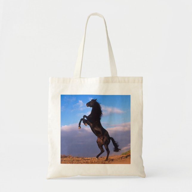 Bolsa Tote Stallion Negro (Frente)