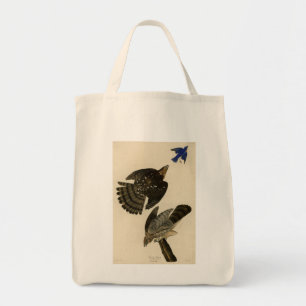 Bolsa Tote Stanley (Cooper's) Hawk Audubon's Birds of America