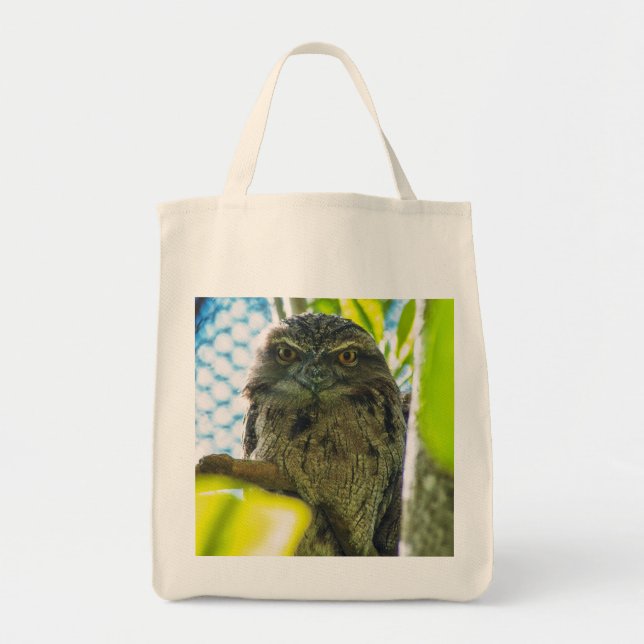 Bolsa Tote Tawny não é coruja (Frente)