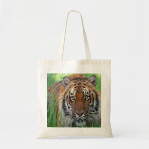 Bolsa Tote Tigre