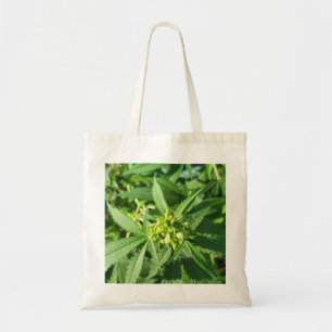 Bolsa Tote Todas naturais