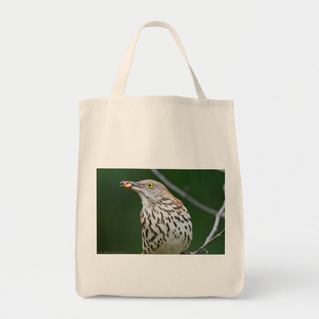 Bolsa Tote Traseiro Marrom com Roupa de Presente do Dia (Frente)