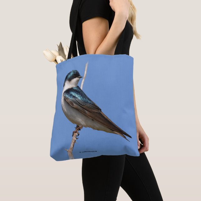Bolsa Tote Tree Swallow Songbird Stands Guarda (Close Up)