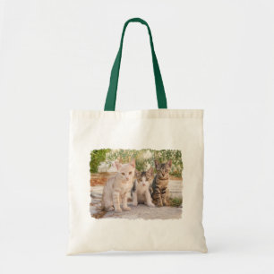 Bolsa Tote Três gatinhos bonitinhos se sentam amigáveis junto