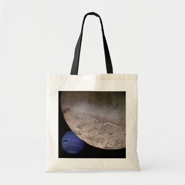Bolsa Tote Triton with Neptune (Frente)