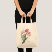 Tulipas Florais Rosa Fofo Folhas Verdes