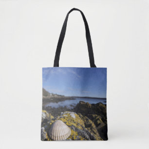 Bolsa Tote Um Seashell senta-se em uma rocha   Dumfries,