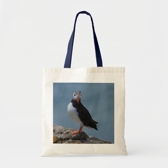 Bolsa Tote Veja-me saco do papagaio-do-mar (Frente)