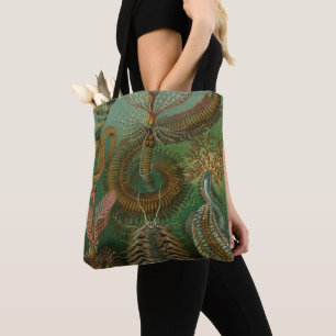 Bolsa Tote Vermes Annelids Chaetopoda vintage por Ernst Haeck