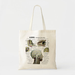 Bolsa Tote Vintage French Anatomy Bag