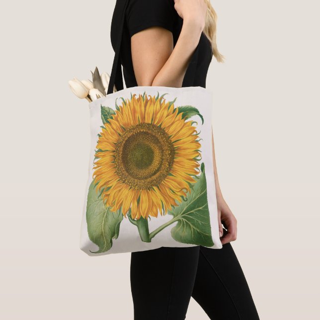 Bolsa Tote Vintage Sunflower Flower by Basilius Besler (Close Up)