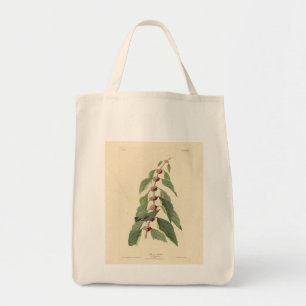 Bolsa Tote Warbler Azul-Verde das Aves da América de Audubon