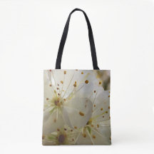 Wild Plum Blossoms Impressionista Art