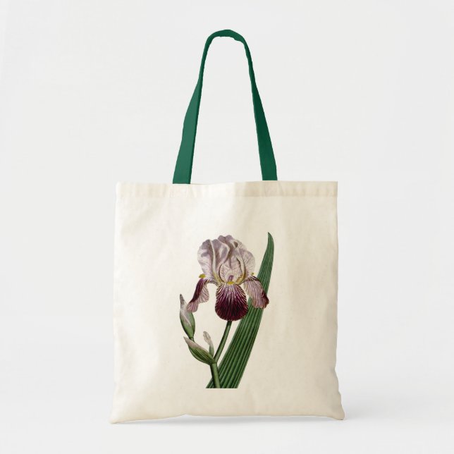 BOLSA TOTE WILLIAM CURTIS BOTANICAL FLOWR (Frente)