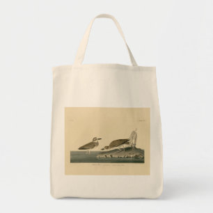 Bolsa Tote Wilson's Plover from Audubon's Birds of America
