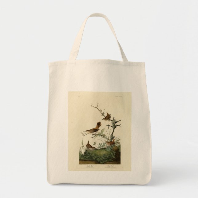 Bolsa Tote Wren de inverno, Rock Wren, Aves da América de Aud (Frente)