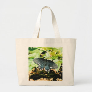 Bolsas de Fotografias da Borboleta Negra