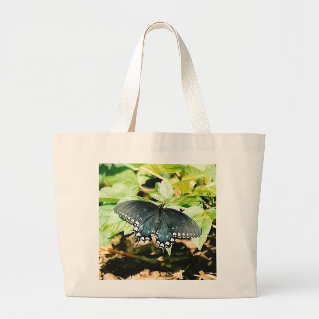 Bolsas de Fotografias da Borboleta Negra (Frente)