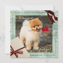 Bom Natal Pomeraniano Eu tenho sido um bom cartão