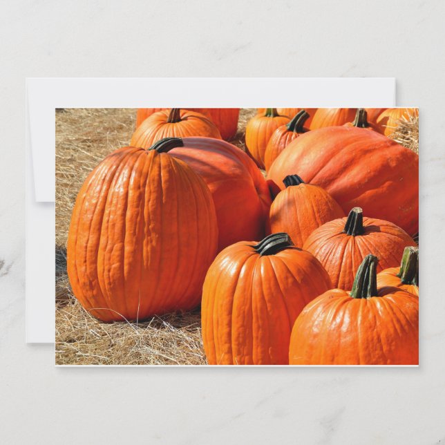 bombagem para venda (Frente)