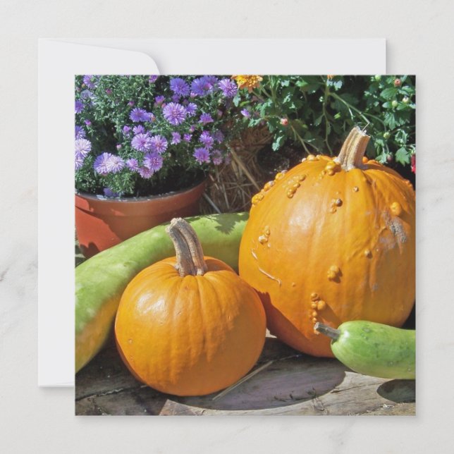 Bombas de outono e flores (Frente)