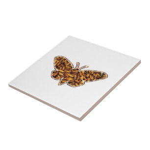 Bombyx Mori Silk Moth Life Cycle Silhoule