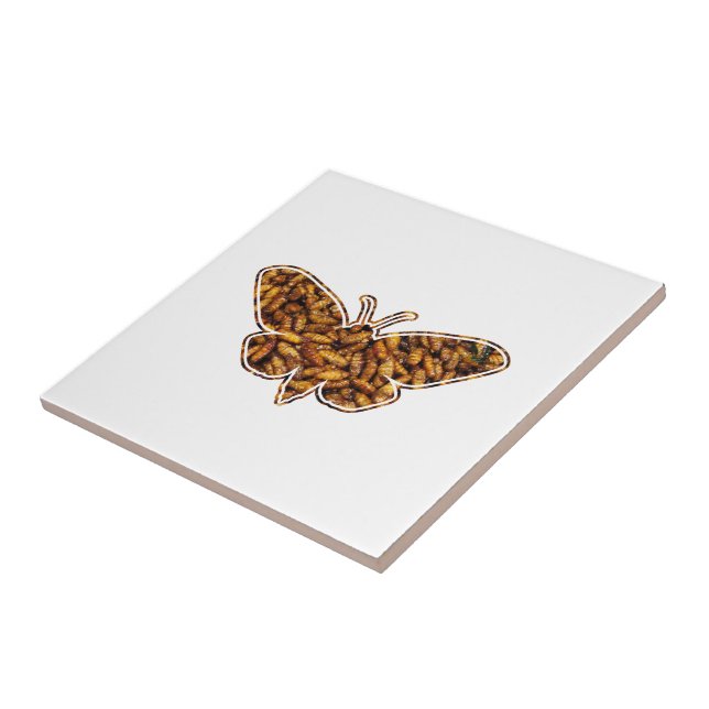 Bombyx Mori Silk Moth Life Cycle Silhoule (Lateral)