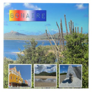 Bonaire Photo Collage