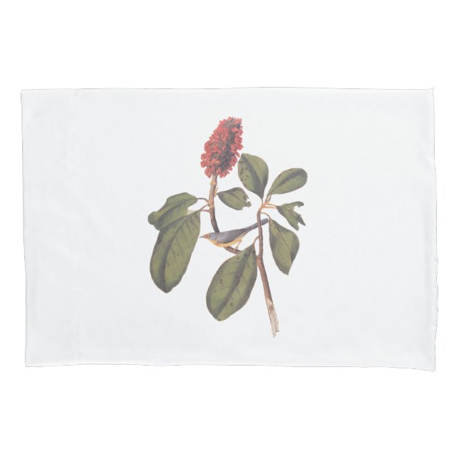 Bonaparte Flycatcher Canada Warbler Audubon Bird (Frente)