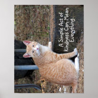 Bondade Laranja Tabby Cat Poster