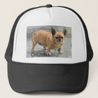 チワワчихуахуаצ'יוואווה   da chihuahua
