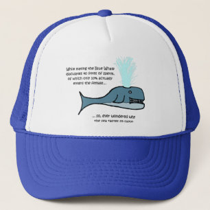 Boné A Baleia Azul...