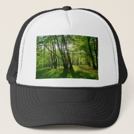 Boné A floresta na primavera
