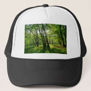 Boné A floresta na primavera