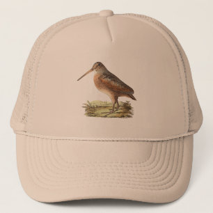 Boné A galinhola americana (menor de Rusticola)