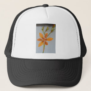 Boné A Iris, avistada por laranja, chamava-se Lily Blac