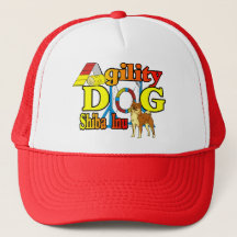 Agilidade Shiba Inu