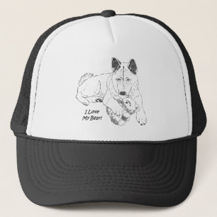 Boné Akita bonito com o cão do urso de ursinho