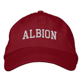 Boné Albion Michigan Boriderada Baseball Hat