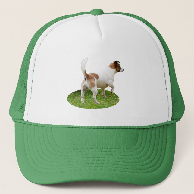 Boné Alerta de Fox Terrier miniatura, Hábito de caminho (Frente)