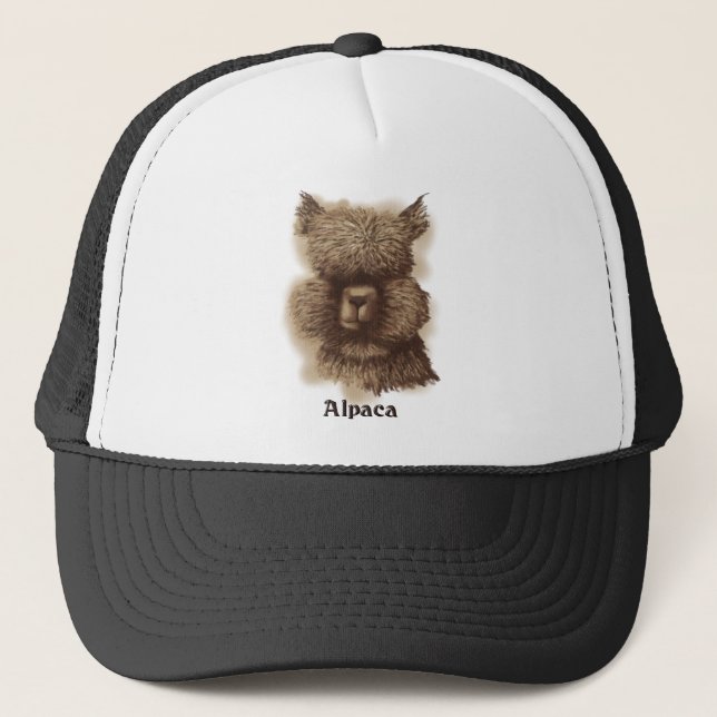 Boné Alpaca (Frente)
