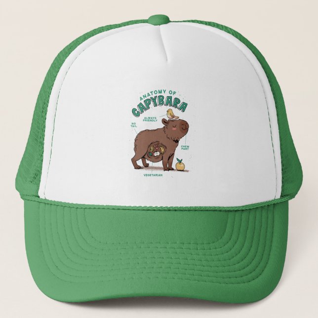 Boné Anatomia Divertida do Capivara (Frente)