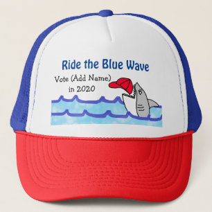 Boné Ande pela onda azul, Vote democrata em 2020