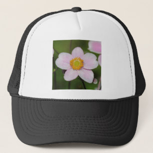 Boné Anemone Rosa