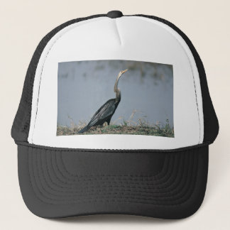 Boné Animal-Anhinga