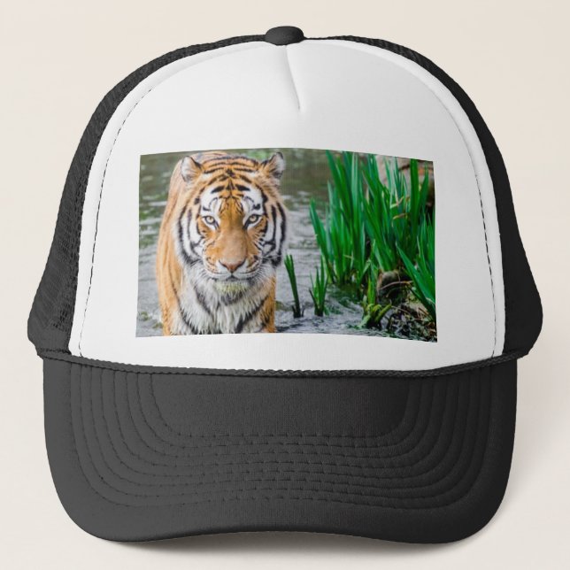 Boné Animal, chapéu, para venda! (Frente)