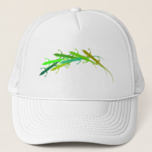 Boné Anole